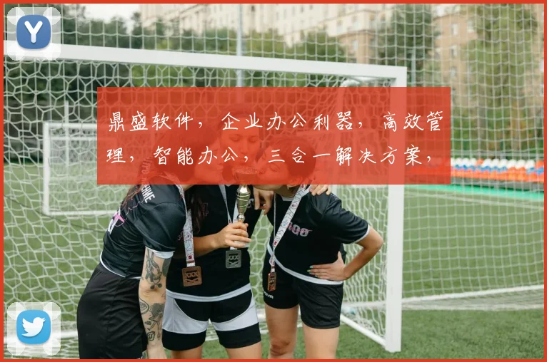 鼎盛软件，企业办公利器，高效管理，智能办公，三合一解决方案，助力企业腾飞