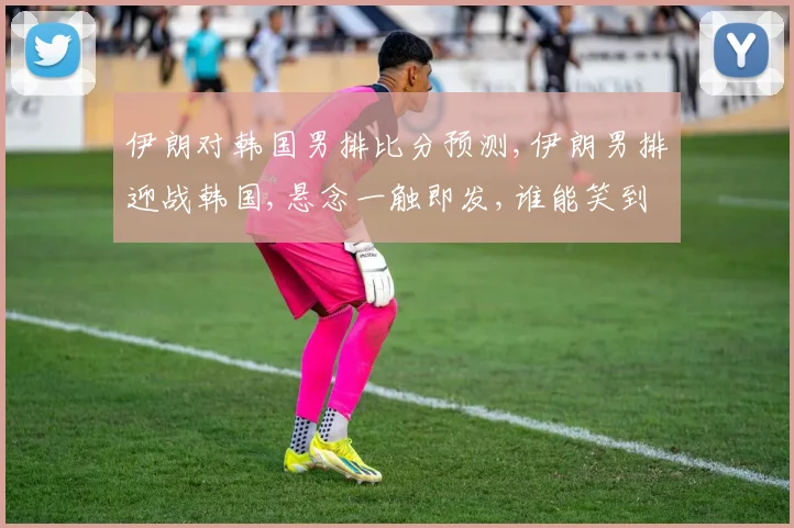 伊朗对韩国男排比分预测,伊朗男排迎战韩国,悬念一触即发,谁能笑到最后