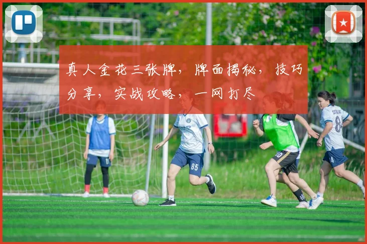 真人金花三张牌，牌面揭秘，技巧分享，实战攻略，一网打尽