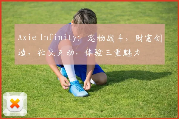 Axie Infinity：宠物战斗，财富创造，社交互动，体验三重魅力